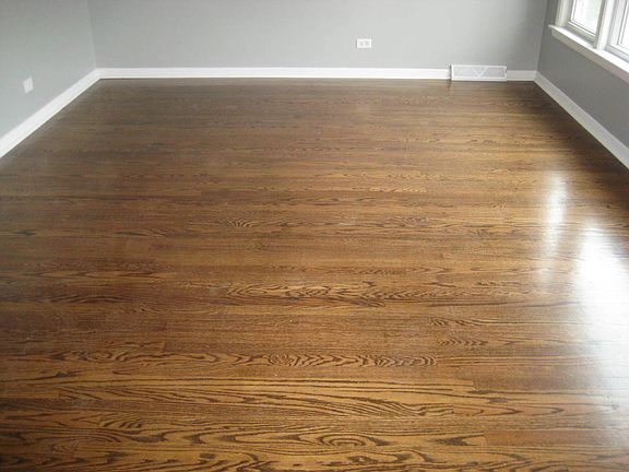 5th image of 516 N Manchester Dr
