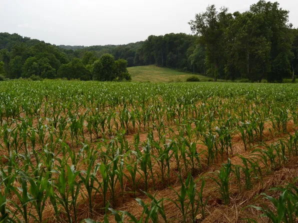 0 Auburn Rd, Landenberg, PA 19350