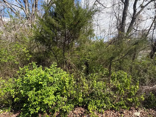 113 Alabama Ave, Etowah, TN 37331