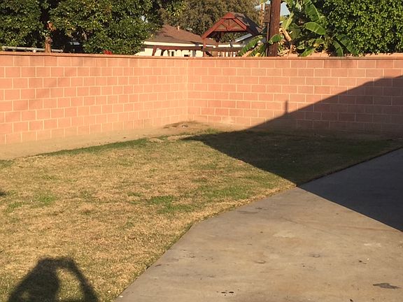 back yard. Block wall