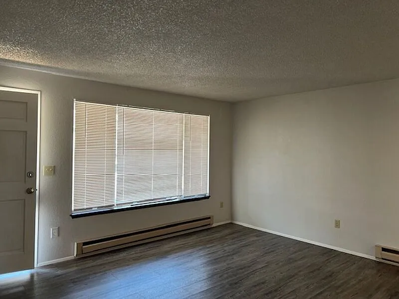 2 bed, 1.0 bath, 828 sqft, $2,350 — Photo 3