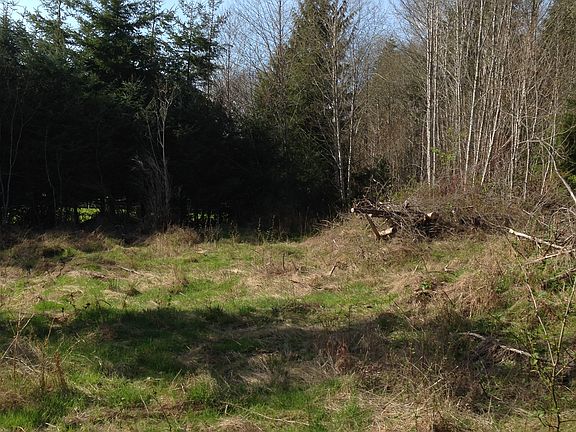 2nd image of 97 Fern Ln S