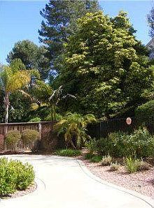 4th image of 13534 Lindamere Ln