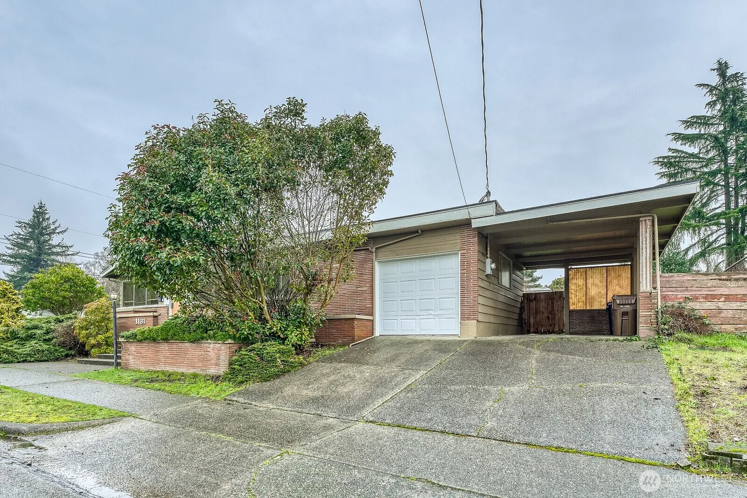 1131 Lenore Drive photo 1
