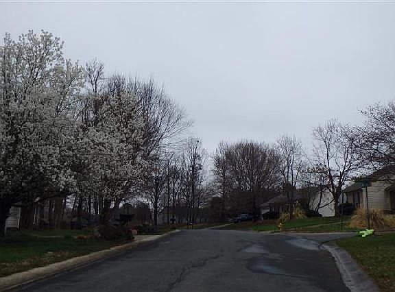 3rd image of 7450 Captain John Ln