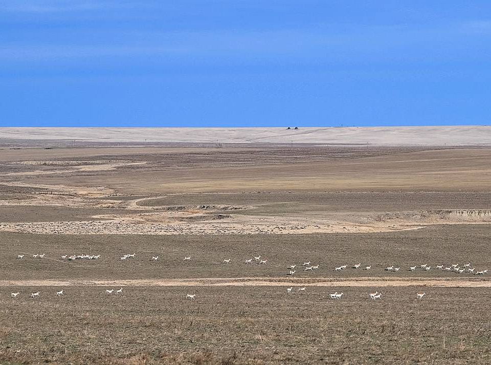 1st image of 0 State Highway 109