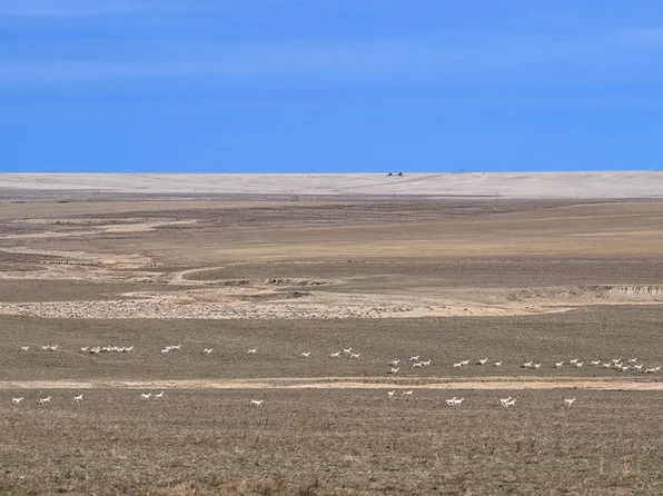 0 State Highway 109, Genoa, CO 80818