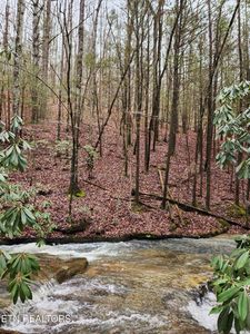 470 Bear Branch Rd, Wartburg, TN, 37887