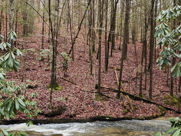 470 Bear Branch Rd, Wartburg, TN 37887