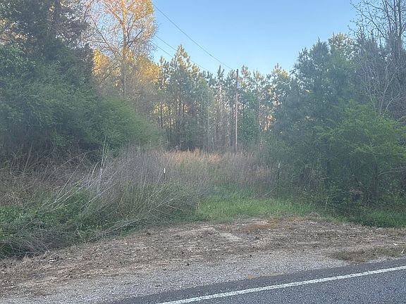 2nd image of Coontail Rd