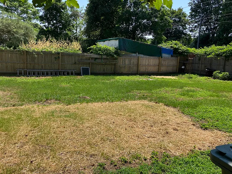 Big fenced yard