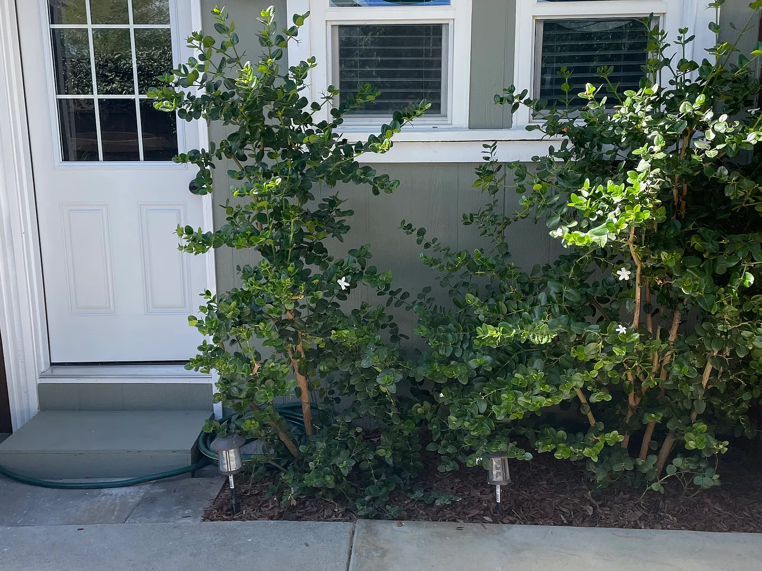 1 bed, 500 sqft, $2,350 — Photo 4