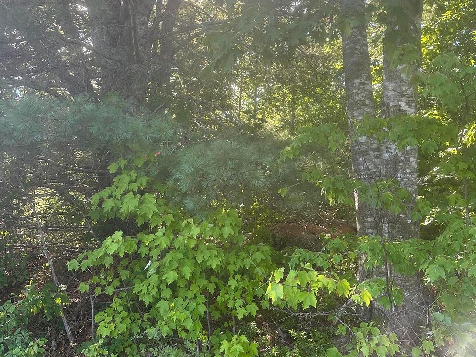 2nd image of Lot 3 W Side Unionville Road