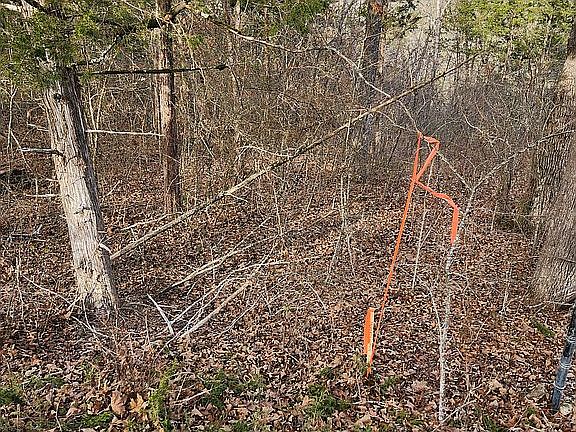 5th image of Persinger Rd