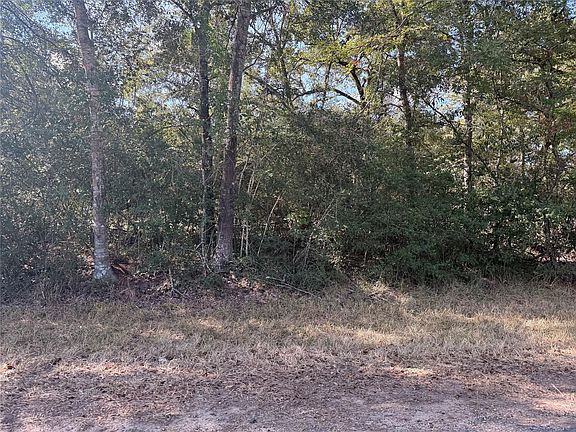 5th image of Deer Trl