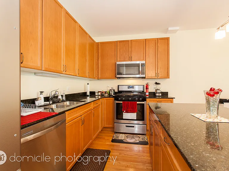 1421 S Halsted St #2B — Photo 8