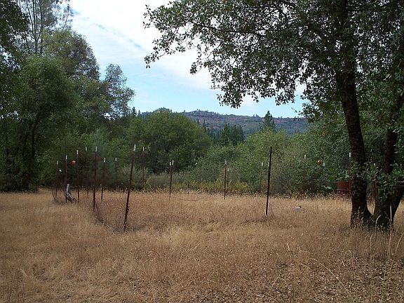 enough room for a garden