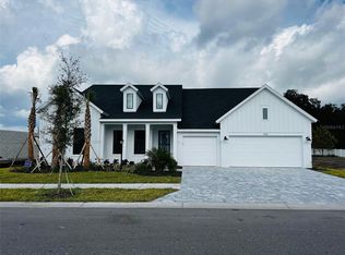 6114 Nikki Ln, Odessa, FL 33556