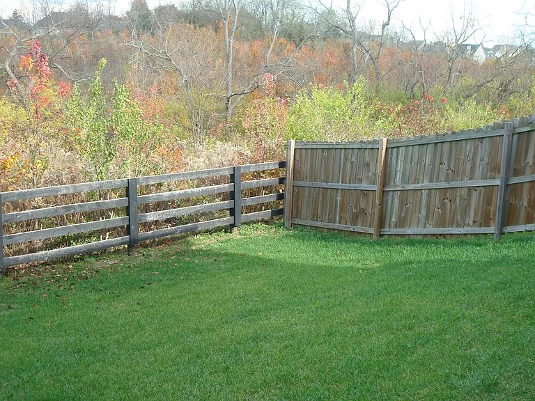 Back yard view