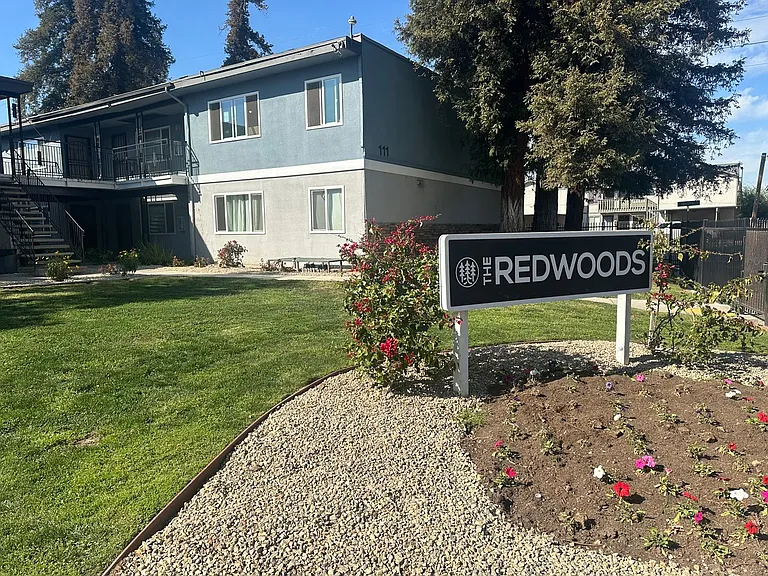 The Redwoods — Photo 18