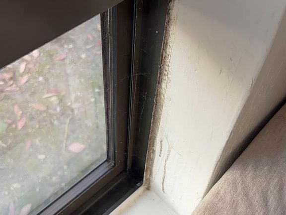 3rd image of 440 N Civic Dr APT 105