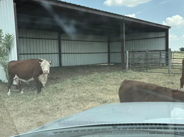 600 County Road 444, Thorndale, TX 76577