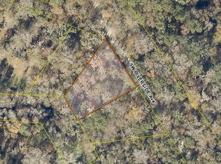 8 SW Riverside Ave, Fort White, FL 32038