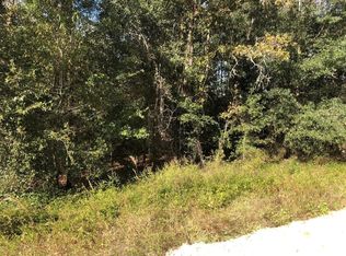 0 Evans Ave, Interlachen, FL 32148