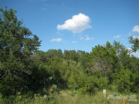 Huge Number of Oak Trees!