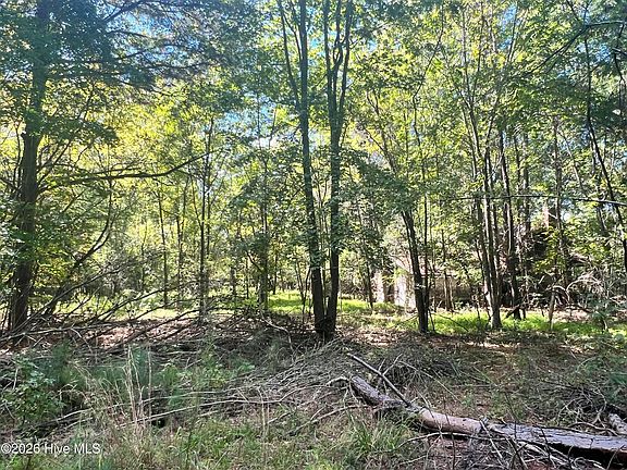 4th image of Lot 5 Coleman Loop Road LOT 5