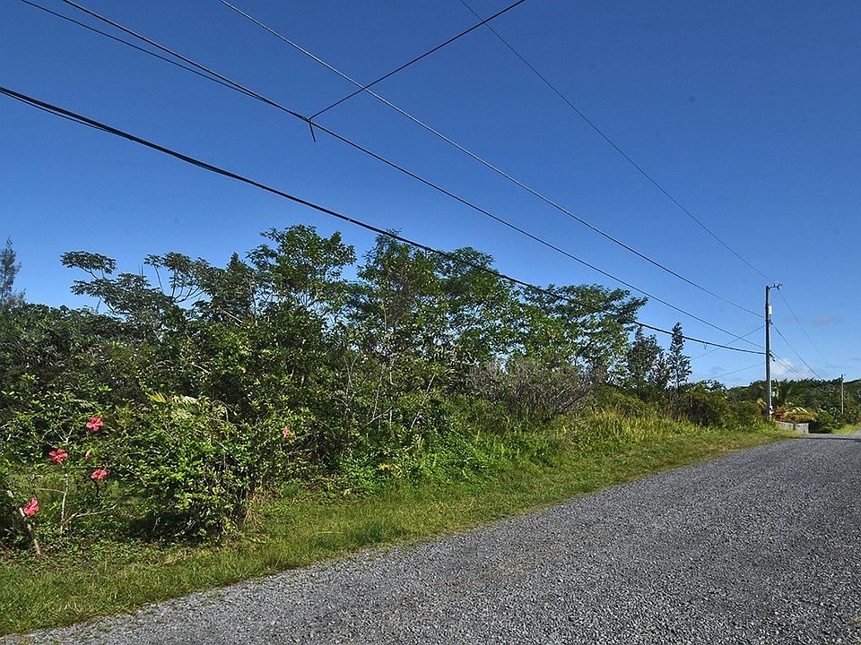 1st image of 2nd Avenue Aloe Lot 1477