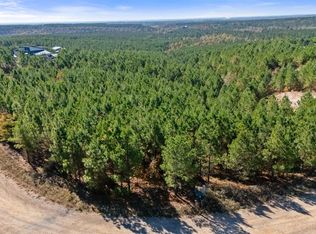 293 Legacy Vista Trl LOT 79, Broken Bow, OK 74728