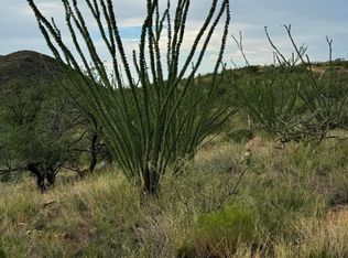 14200 W Winthrop Rd #141, Tucson, AZ 85736