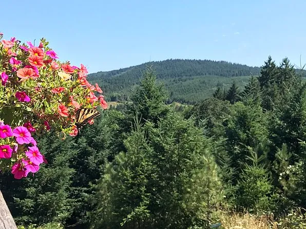 9824 SW Summit Ave, Gaston, OR 97119