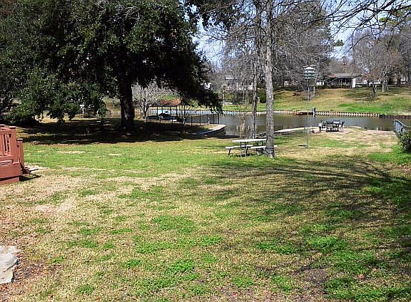 Wide open backyard