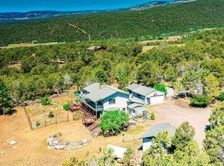 21236 Uintah Rd, Cedaredge, CO 81413