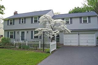 Front yard