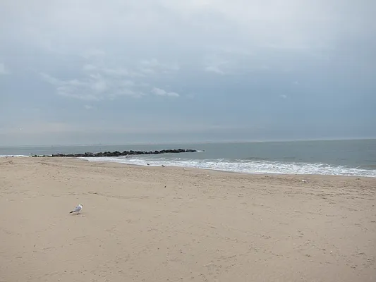 Sold by Ocean Coast of New York Realty | media 10