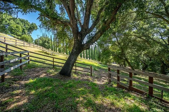 mature oak trees surrounding the home