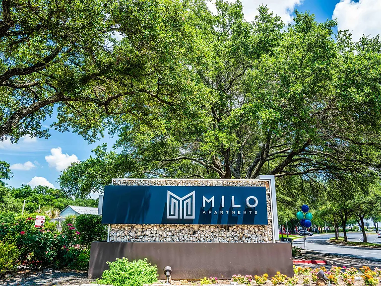 Milo — Photo 26