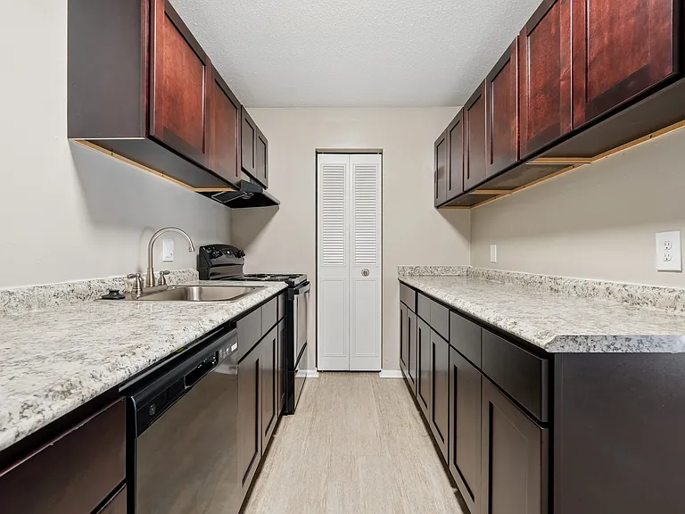 The Palms Apartments — Photo 8