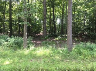 408 Willow St, Solon, OH 44139