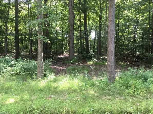 Willow St, Solon, OH 44139