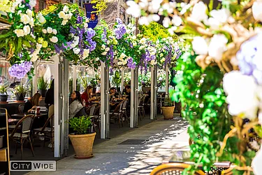 Rented by City Wide Apartments