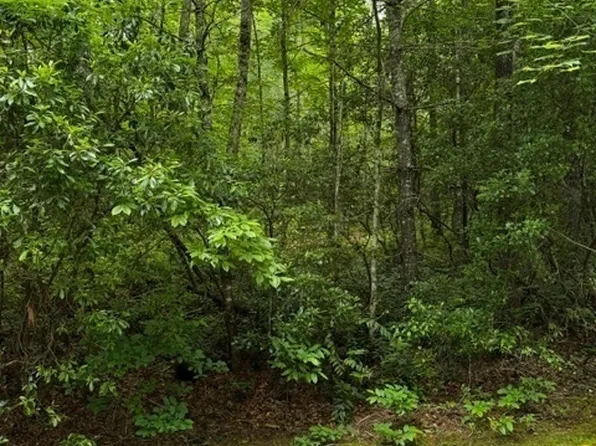 48B Big Pine Road, Sapphire, NC 28774