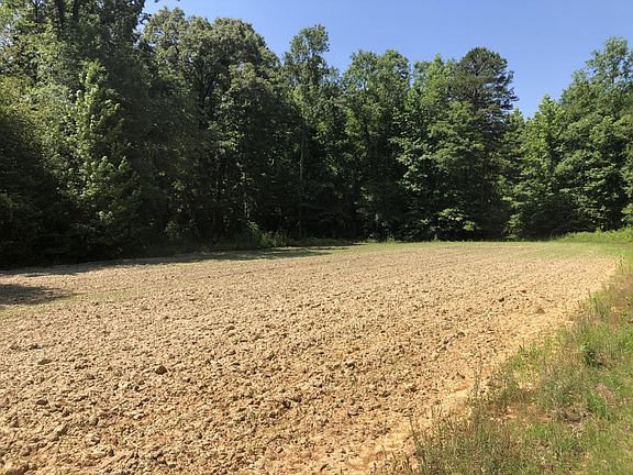 Food Plot