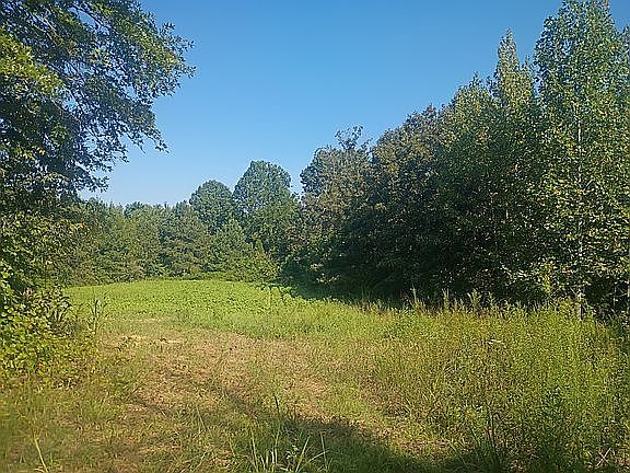 2nd image of 1899 Cavanaugh Rd