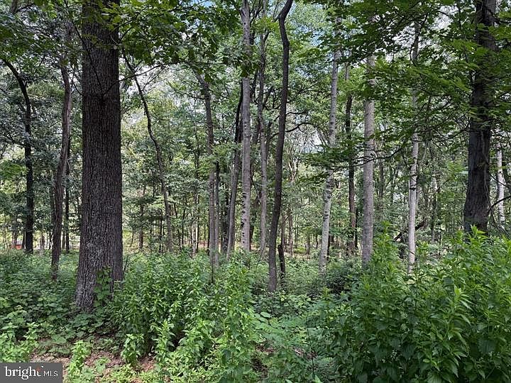 2nd image of 79 Cabin Rd