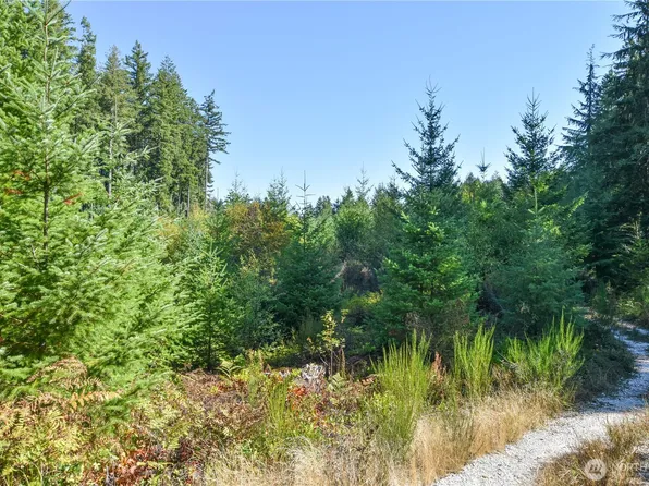 20 Acres SW Hunter Road, Port Orchard, WA 98367