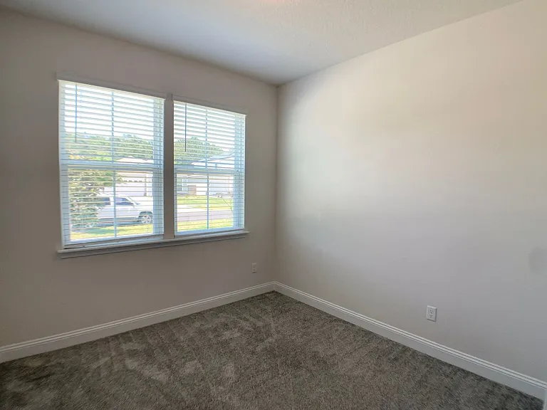 1499 Tropical Pine Cv — Photo 26